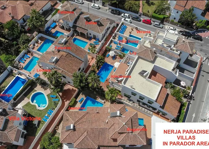 Paradise - Palomas *