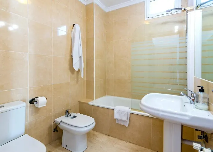 Paradise - Palomas *